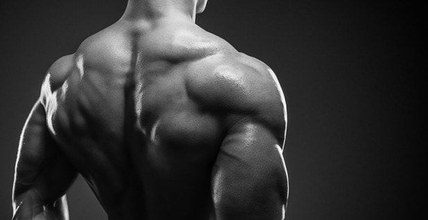 How Many Exercises per Muscle Group Should You Do to Build Muscle?